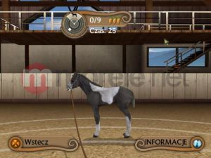 Techland Diamentowa Kolekcja Konie i Kucyki PC 10