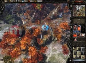 Platynowa Kolekcja - Disciples III: Odro PC 11