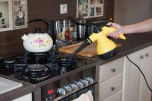 Parownica Maltec HDS 3000W 13