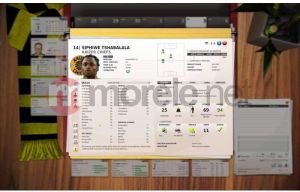FIFA Manager 11 Classic PC 7