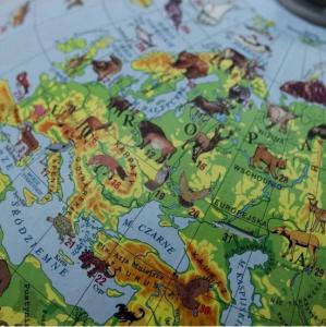 Zachem Globus 220 zoologiczny z opisem 4