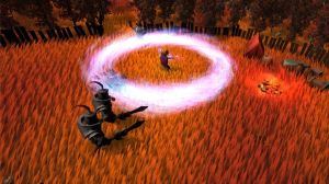 Fallen Mage PC, wersja cyfrowa 2