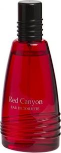 Real Time Red Canyon EDT 100 ml 1