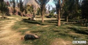 Edengrad PC, wersja cyfrowa 6