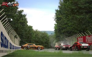 Race On PC, wersja cyfrowa 8