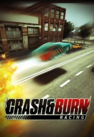 Crash And Burn Racing PC, wersja cyfrowa 1