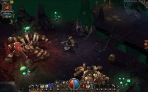 Torchlight PC, wersja cyfrowa 12