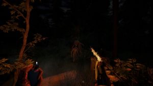 The Forest PC, wersja cyfrowa 6