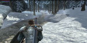 Ravensword: Shadowlands PC, wersja cyfrowa 5