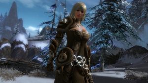 Guild Wars 2 Heroic Edition NCSoft Key GLOBAL 11