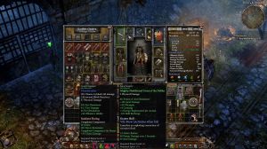 Crate Entertainment Grim Dawn PC, wersja cyfrowa 4