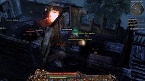 Crate Entertainment Grim Dawn PC, wersja cyfrowa 5