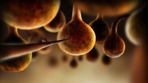 Botanicula PC, wersja cyfrowa 10