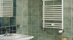 Grzejnik łazienkowy Purmo SAN 15 05 50 cmx147 cmcm biały (F3NA015005000000) 4