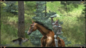 Two Worlds Epic Edition PC, wersja cyfrowa 11