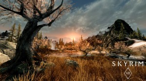 The Elder Scrolls V: Skyrim [VR] PC, wersja cyfrowa 5