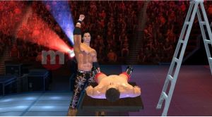 WWE SmackDown! vs. RAW 2011 Platinum 5