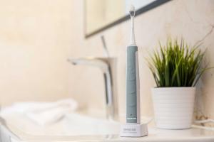 Szczoteczka Sencor SOC 1100SL Szara 6