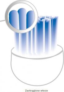 Szczoteczka ProfiCare PC-EZS 3000 Biała 7