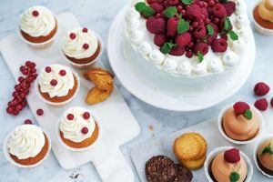 Robot planetarny Electrolux Robot planetarny 14