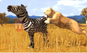 Wildlife Park 3: Świat Dzikich Zwierząt PC 12