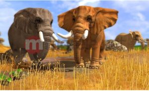 Wildlife Park 3: Świat Dzikich Zwierząt PC 13