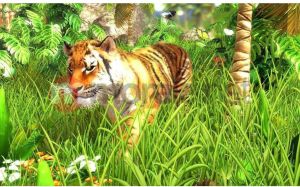 Wildlife Park 3: Świat Dzikich Zwierząt PC 14