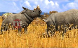 Wildlife Park 3: Świat Dzikich Zwierząt PC 15