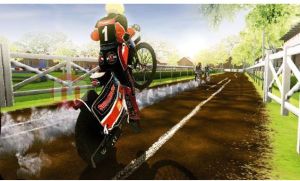 AK Speedway Liga Gold PC 8