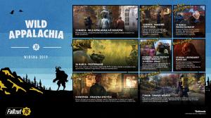 Fallout 76 PC 3