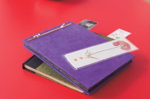 Fellowes Folia do laminowania A4 80 MIK 100 szt. 3