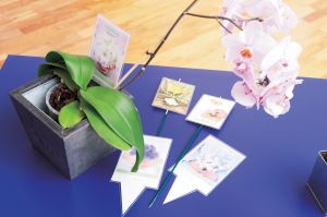 Fellowes Folia do laminowania A4 80 MIK 100 szt. 4