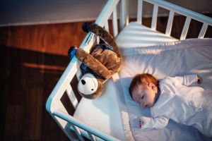 Whisbear Szumiący leniwiec E-zzy 5