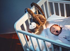 Whisbear Szumiący leniwiec E-zzy 6