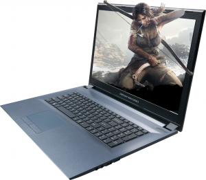 Laptop Dream Machines G1060-17PL49 16 GB RAM/ 1TB HDD/ 2