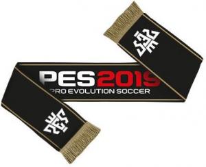 PES 2019 David Beckham Edition PS4 6