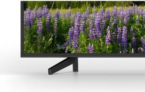 Telewizor Sony KD-65XF7005B LED 65'' 4K (Ultra HD) Linux 4