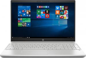 Laptop HP Pavilon 15-cs1001nw (5MM68EA) 8 GB RAM/ 256 GB M.2 PCIe/ 1TB HDD/ Windows 10 Home PL 1