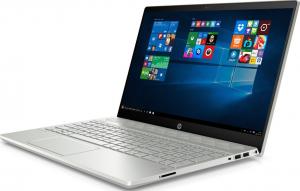 Laptop HP Pavilion 15-cs1001nw (5MM68EA) 5