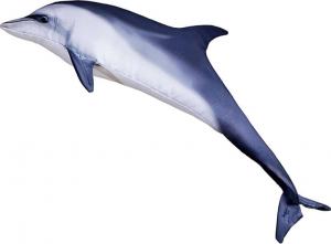 Gaby Poduszka Ryba Delfin Butlonosy Mini 55cm 1