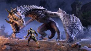 The Elder Scrolls Online: Elsweyr PS4 14