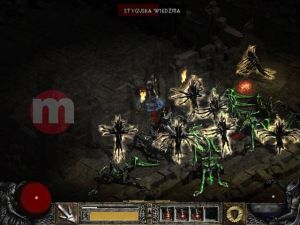 Diablo II Złota Edycja PL PC 8