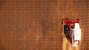 Real Farm Xbox One 11