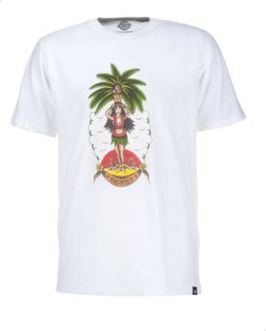 Dickies Koszulka męska Bellflower T-Shirt white r. S 1