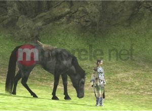 ICO & Shadow of the Colossus HD Collection 9