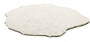 Mokosh Cosmetics Argan Oil For Nail Care olejek arganowy do paznokci 12ml 2