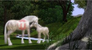 Sims 3 Zwierzaki Xbox 360 2