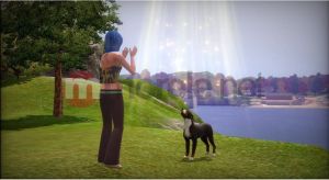 Sims 3 Zwierzaki Xbox 360 10