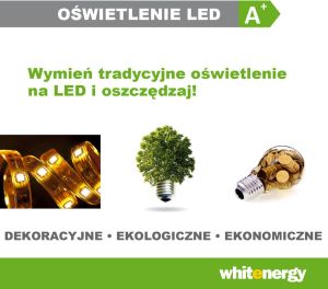 Taśma LED Whitenergy SMD5050 5m 60szt./m 14.4W/m 12V Zielona (6992) 4