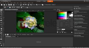 Corel PaintShop Pro X4 ENG Retail (PSPX4IEMB) 2